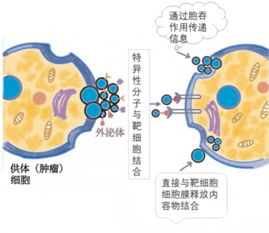 细胞储存