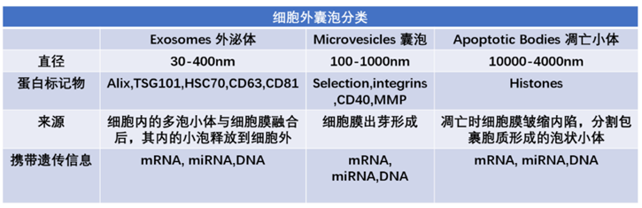 细胞储存