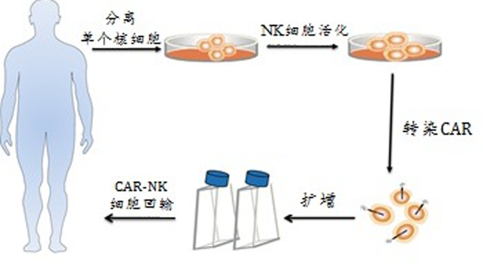 49图库49518cm